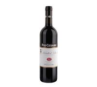 Dolcetto d'Alba Pio Cesare 2024
