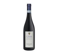 Dolcetto d'Alba 'Vilot' Ca' Viola 2024