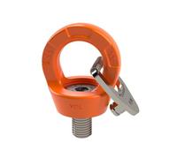 Dolezych Professionell - Vite ad anello con occhio DLR, capacità di carico 4500 kg, filettatura M30 x 45 mm
