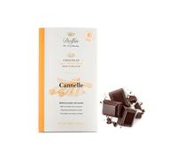 Dolfin® | Cioccolato Latte e Cannella | Tavoletta Aromatizzata alla Cannella - 1 x 70 Gr