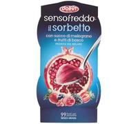 dolfin sensofreddo il sorbetto con succo di melograno e frutti di bosco 2 x 100 ml
