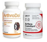 Dolfos ArthroDol 90 Compresse +LAB-V Arthro Comfort - Supporto completo per la salute delle articolazioni e del sistema muscolo-scheletrico per cani e gatti, 45 capsule