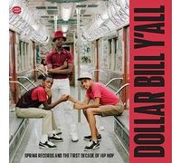 dollar bill y’all-spring records and the first decade of hip hop