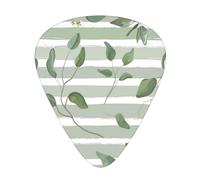 Dollaro d'argento verde eucalipto,12 pezzi di plettri per chitarra, 3 plettri di diverso spessore per chitarra acustica, basso, ukulele