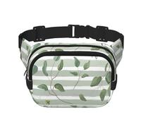 Dollaro d'argento verde eucalipto, Marsupio quadrato a doppio strato, borsa da viaggio, marsupio casual