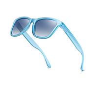 Dollger Occhiali da sole polarizzati per uomini e donne Occhiali da sole classici retrò con protezione UV400 Blu