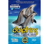 Dolphins Home To The Sea