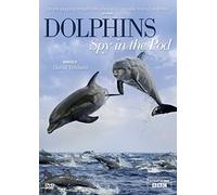 Dolphins: Spy In The Pod [Edizione: Regno Unito] [Edizione: Regno Unito]