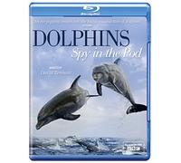 Dolphins Spy In The Pod [Edizione: Regno Unito] [Edizione: Regno Unito]