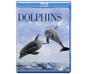 Dolphins Spy In The Pod [Edizione: Regno Unito] [Edizione: Regno Unito]