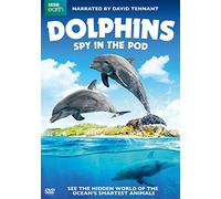 Dolphins: Spy In The Pod [Edizione: Stati Uniti]