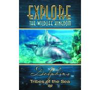 Dolphins - Tribes of The Sea (DVD)
