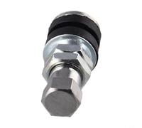 Dolvitrny Valvola della gomma tubeless, stelo d'ottone per l'automobile del | Valvola per pneumatici senza camera d'aria, in ottone e gomma, per moto, auto, moto, ATV, colore argento