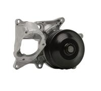 DOLZ B250 Pompa acqua
