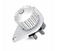 DOLZ C114 Pompa acqua