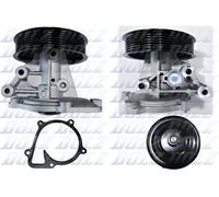 DOLZ F211 Pompa dell’acqua, raffreddamento motore per FORD