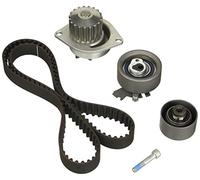 Dolz Kit cinghia distribuzione e pompa acqua KD042 per Citroën Peugeot