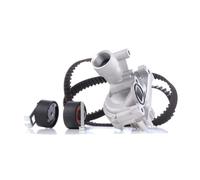 DOLZ KD056 Kit cinghia distribuzione, pompa acqua