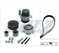 DOLZ KD100 Pompa Acqua & Kit Cinghia Distribuzione per Audi, Sedile, Skoda, VW
