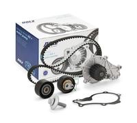 DOLZ KD169 Kit cinghia distribuzione, pompa acqua