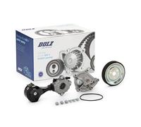 DOLZ KD173T Pompa acqua + Kit cinghia Poly V