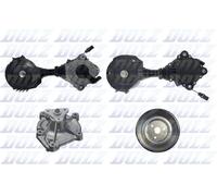 DOLZ KD174T Pompa Acqua + Cinghia Scanalata Kit per BMW, Citroën, Mini, Peugeot