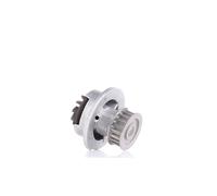 DOLZ O106 Pompa acqua