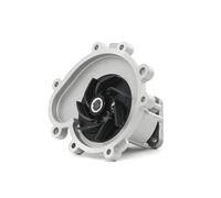 DOLZ P500 Pompa acqua
