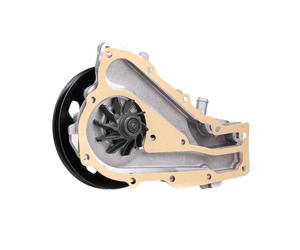 DOLZ R129 Pompa acqua