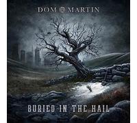 Dom Martin Buried in the Hail (Vinyl LP) 12" Album