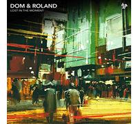 Dom & Roland - Lost In The Moment
