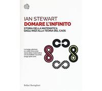 Domare l'infinito. Storia della matematica dagli inizi alla teoria del caos