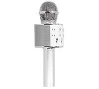 Domary Altoparlante Karaoke con Microfono Wireless con Batteria da 2400 mAh e Altoparlante Integrato per Cantare Durante Le Feste in Casa
