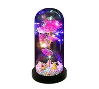 Domary Cupola in Acrilico Illuminata Rosa con Fiore Eterno Regalo per Le | Bellezza , Luci a Stringa LED Alimentate a Batteria, Base in ABS, Altezza 8,5 Pollici, Decorazione Romantica per San o