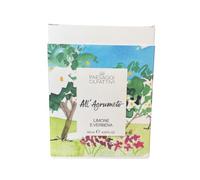 Domea - Paesaggi Olfattivi - All'Agrumeto Profumatore per Ambiente a Bastoncini 120 ml, Fragranza Limone e Verbena con Eucalipto, Citronella e Litsea Cubeba