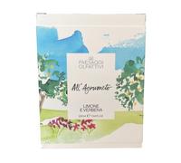 Domea - Paesaggi Olfattivi - All'Agrumeto Profumatore per Ambiente a Bastoncini 220 ml, Fragranza Limone e Verbena con Eucalipto, Citronella e Litsea Cubeba