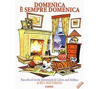 Domenica è sempre domenica. Raccolta di tavole domenicali di Calvin and Hobbes