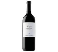 Domenico Clerico Trevigne Barbera d'Alba DOC 2023 0,75 l