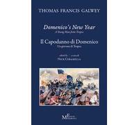 Domenico's new year. A young man from Tropea-Il Capodanno di Domenico. Un giovane di Tropea