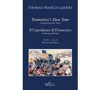 Domenico's new year. A young man from Tropea-Il Capodanno di Domenico. Un giovane di Tropea