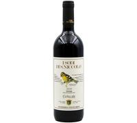 Domini Castellare Di Castellina I Sodi Di San Nicolo 2021