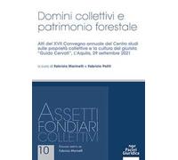 Domini collettivi e patrimonio forestale. Atti del XVII Convegno annuale del Centro studi sulle proprietà collettive e la cultura del giurista «Guido Cervati» (L'Aquila, 29 settembre 2021)