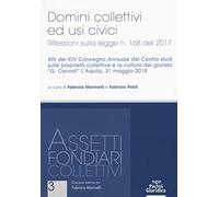 Domini collettivi ed usi civici. Riflessioni sulla legge n. 168 del 2017. Atti del XIV convegno annuale del Centro studi sulle proprietà collettive e ... «G. Cervati» (L'Aquila, 31 maggio 2018)