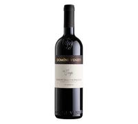 Domini Veneti Amarone della Valpolicella Vigneti Jago 2011