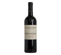 Domini Veneti Valpolicella Classico 2021
