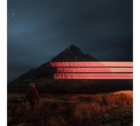 Dominic Fike What Could Possibly Go Wrong (Cassette)
