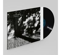 Dominic Miller - Vagabond