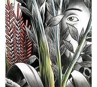 Dominique A - Vers Les Lueurs