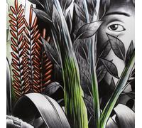 DOMINIQUE A - VERS LES LUEURS