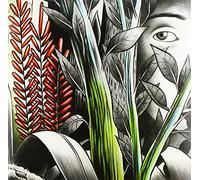 Dominique A - Vers Les Lueurs